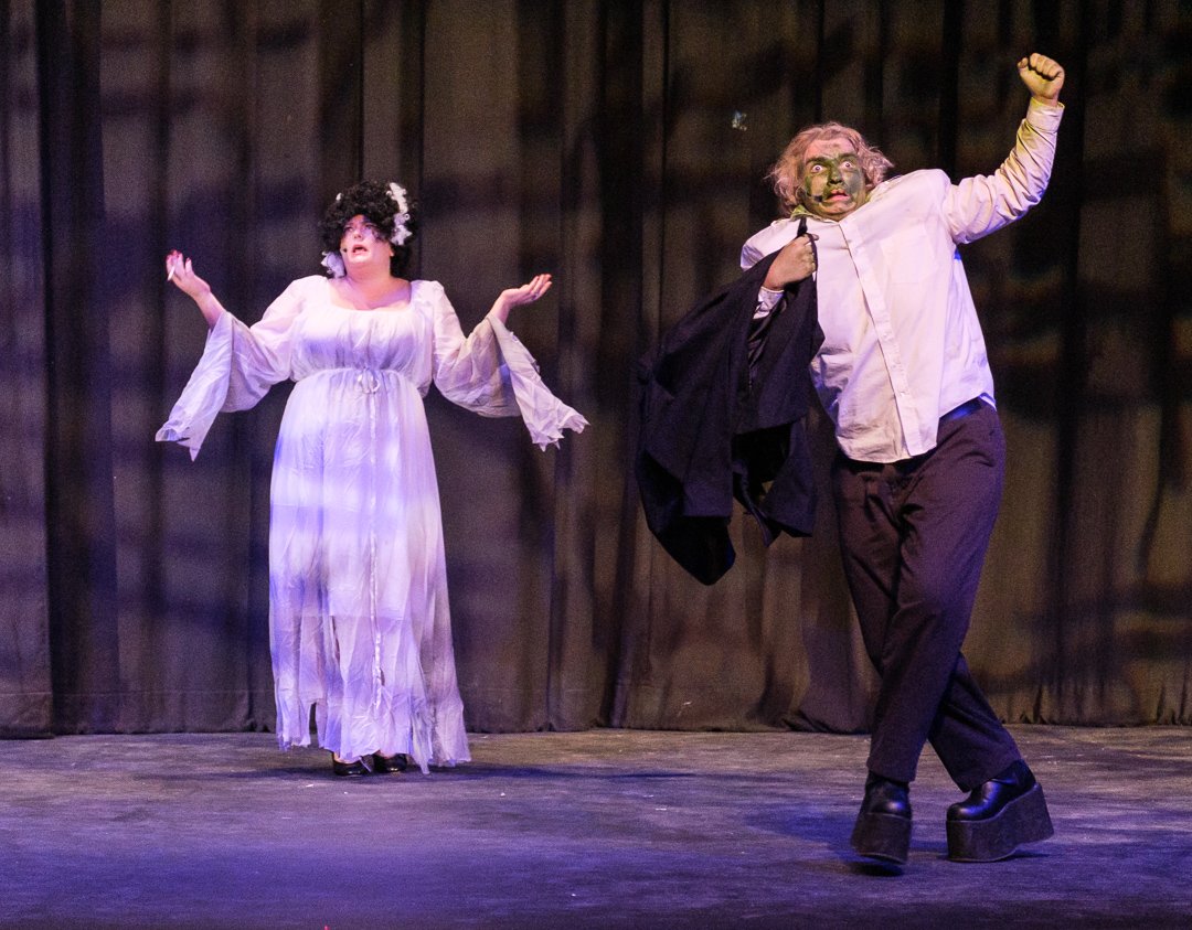 youngfrankenstein2410103.jpg