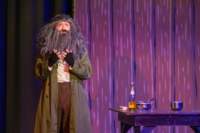 youngfrankenstein241086_small.jpg